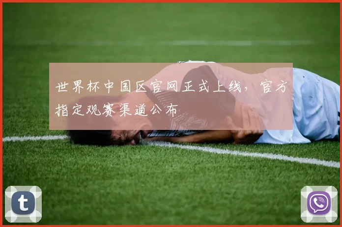 世界杯中国区官网正式上线，官方指定观赛渠道公布