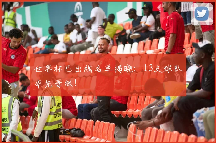 世界杯已出线名单揭晓：13支球队率先晋级！